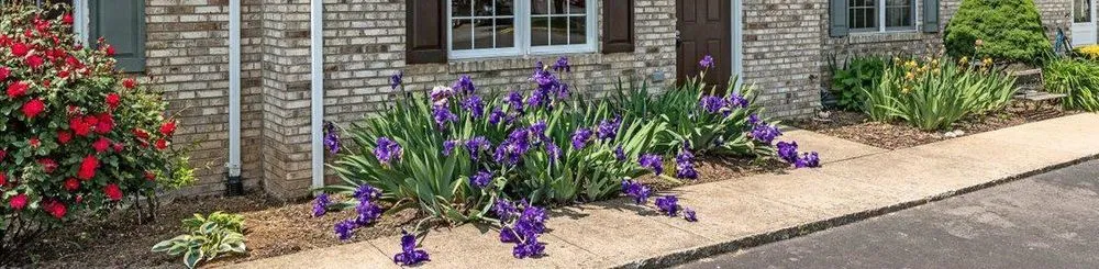 Local lawn mowing service for year-round maintenance across Woodstock, VA - Old Glory Lawn Care