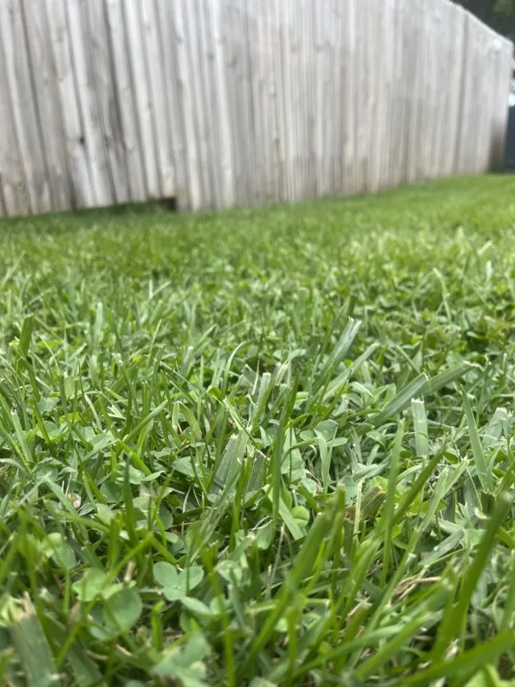 Local landscape installation near you across Woodstock, VA - Old Glory Lawn Care