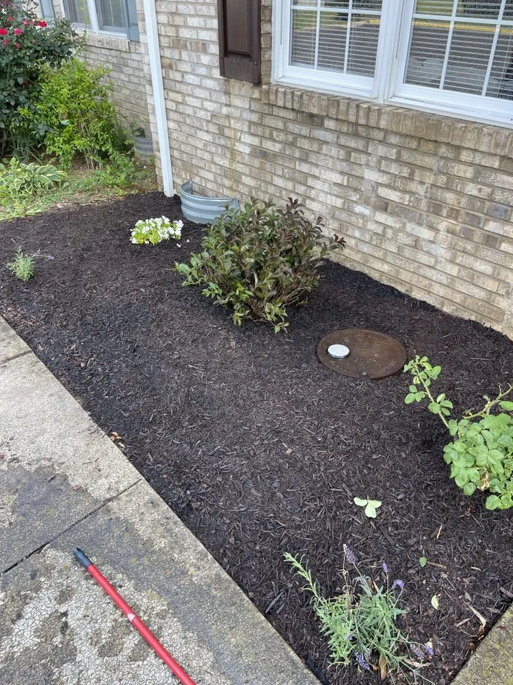 Expert yard cleanup service for homes in Woodstock, VA by Old Glory Lawn Care