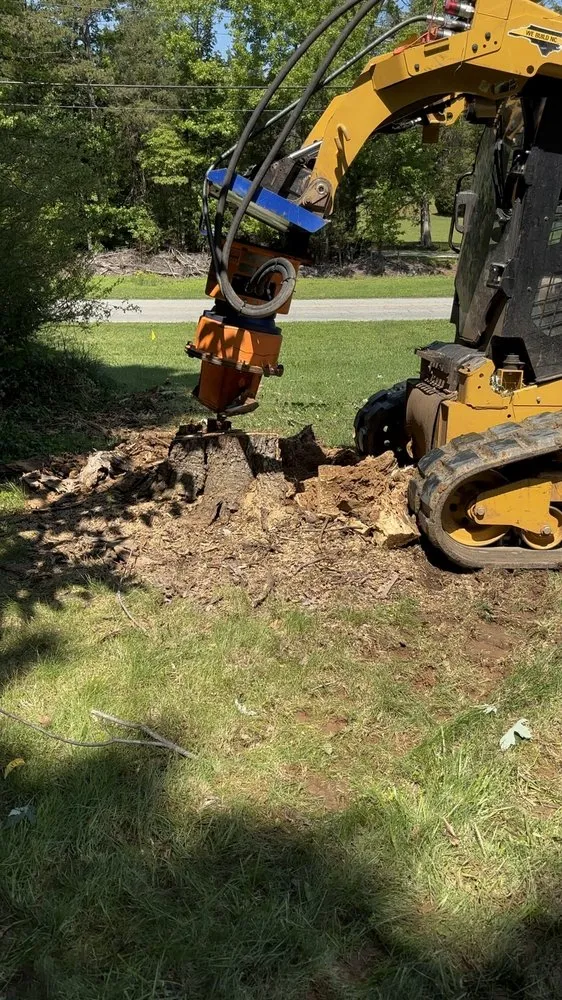 Reliable yard cleanup service in Advance, NC by Old Goat Land Services