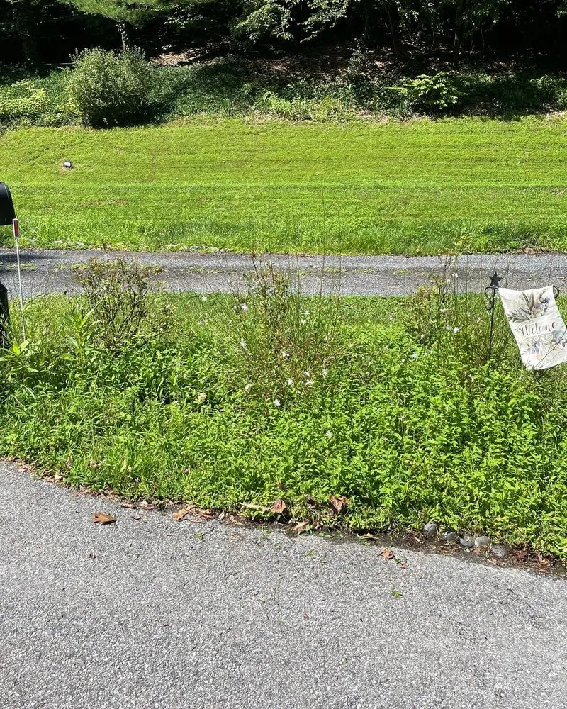 Trusted yard cleanup service for outdoor upgrades across Huntingtown, MD - Old Line Lawn and Landscape