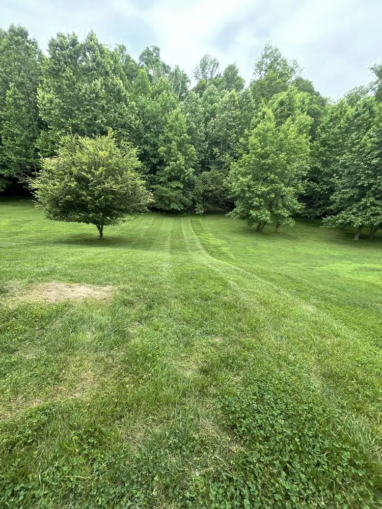 Professional landscape installation in Huntingtown, MD - Old Line Lawn and Landscape