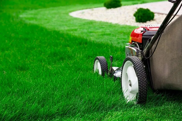 Reliable lawn care service in Glen Burnie, MD by Old Line Lawns