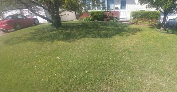 Custom yard cleanup service in Glen Burnie, MD by Old Line Lawns