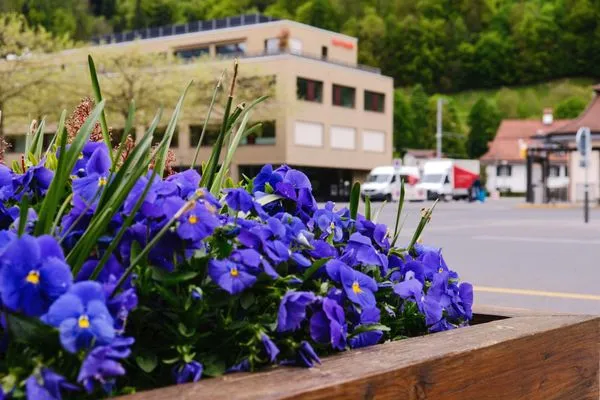 Old Marietta Landscaping Logo