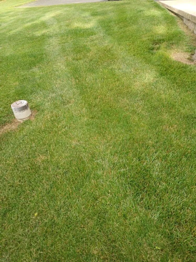 Trusted yard cleanup service in New Oxford, PA - Old Mill Lawn Care