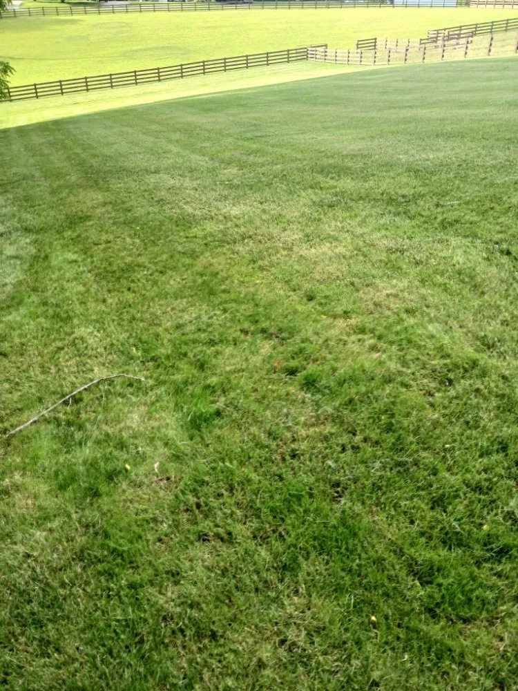 Expert landscaping services for beautiful yards in New Oxford, PA by Old Mill Lawn Care