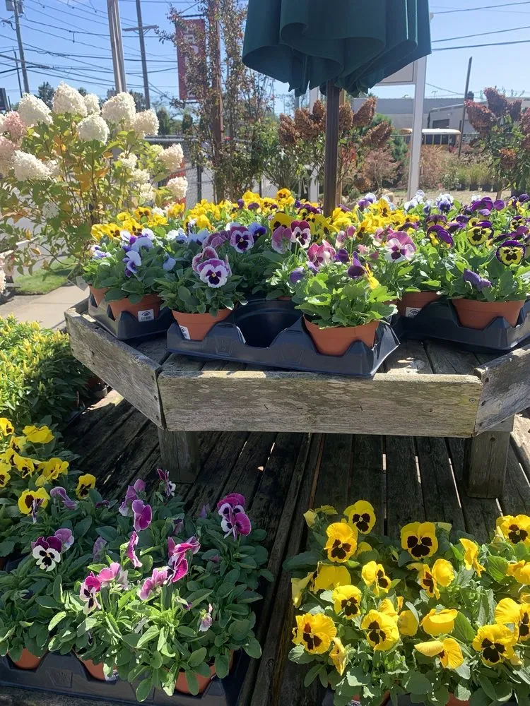 Affordable landscaping services in Bellmore, NY - Old Mill Nurseries