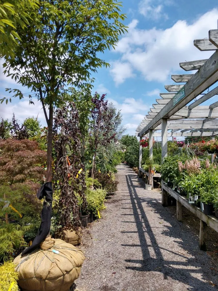 Top-rated lawn mowing service in Bellmore, NY by Old Mill Nurseries