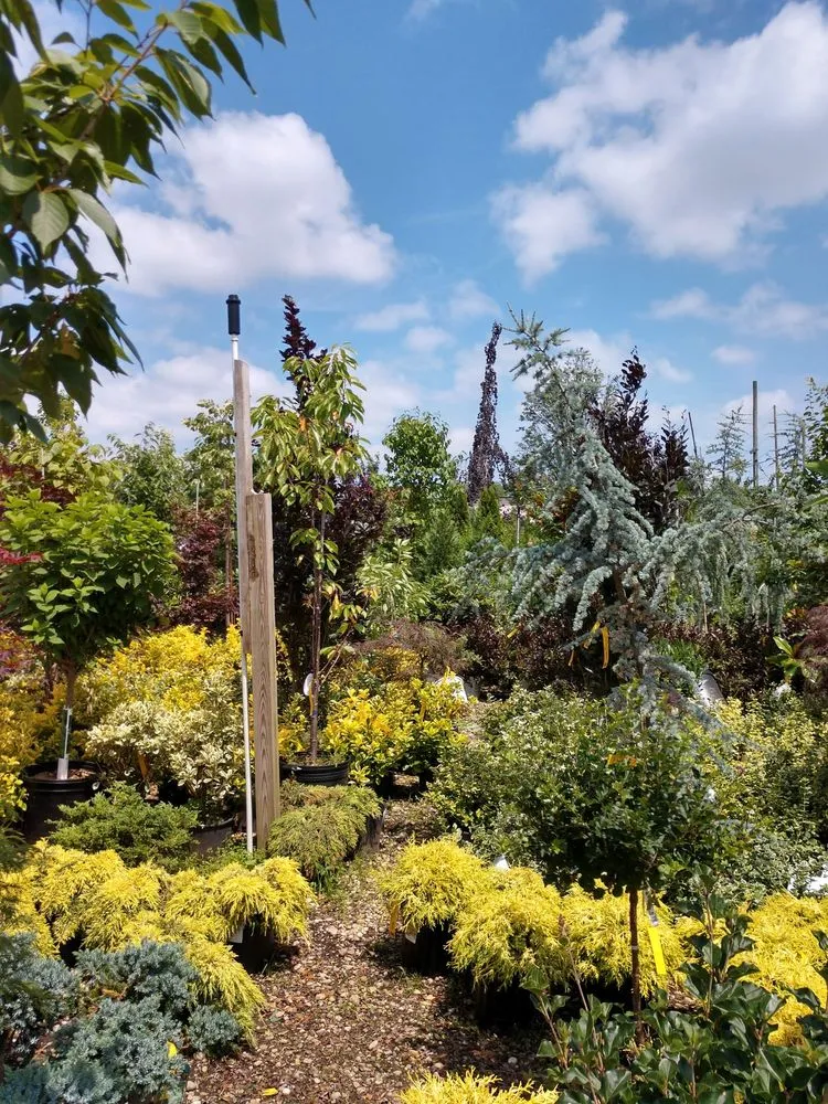 Trusted lawn mowing service in Bellmore, NY by Old Mill Nurseries