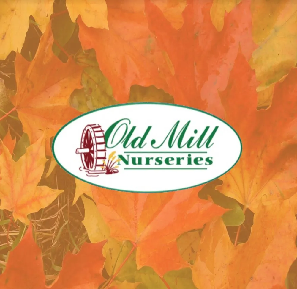 Custom landscaping services in Bellmore, NY by Old Mill Nurseries
