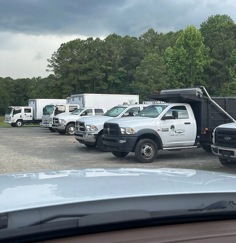 Affordable landscaping services near you in Newton Grove, NC by Old Mill Stream