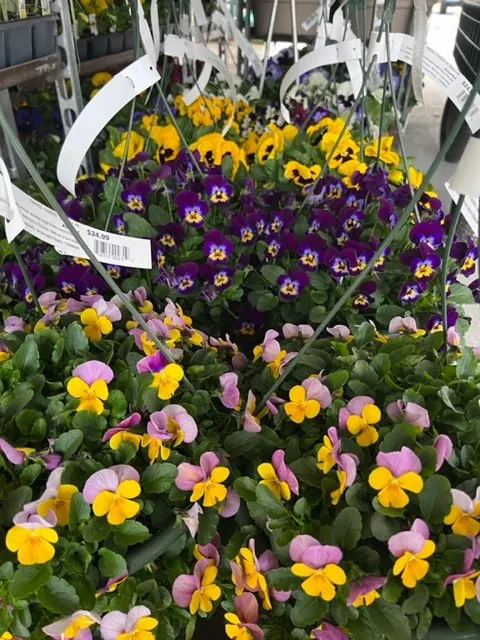 Top-rated residential landscaping in Lebanon, NJ - Old Mountain Farm Market