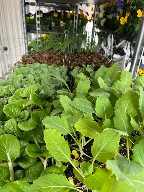 Custom yard cleanup service in Lebanon, NJ - Old Mountain Farm Market