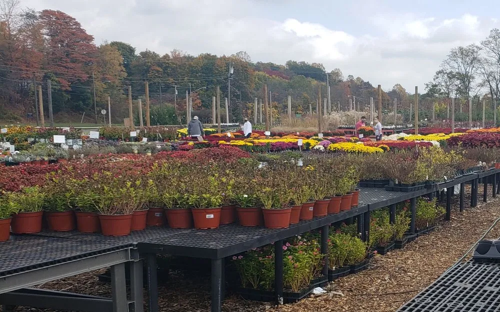 Custom yard maintenance for beautiful yards in Lebanon, NJ by Old Mountain Farm Market