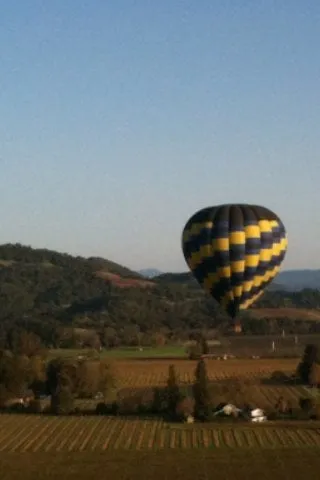 Trusted yard cleanup service in Lebanon, NJ - Old Mountain Farm Market