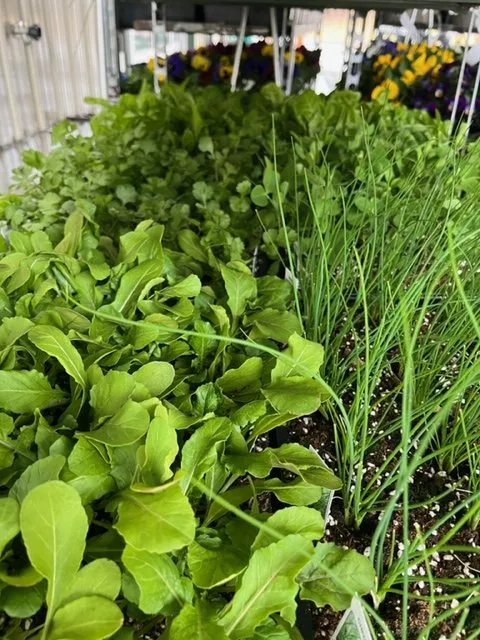 Top-rated garden landscaping experts serving Lebanon, NJ - Old Mountain Farm Market