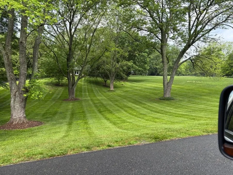 Reliable lawn care service for residential properties in Chester, MD by Old Point Property Management