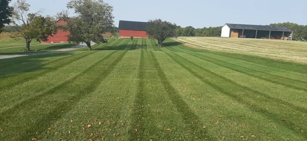 Reliable lawn mowing service experts serving Mount Vernon, OH - Old School Cuts & Landscaping