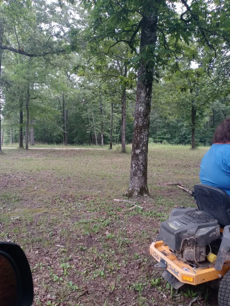 Trusted yard cleanup service for outdoor upgrades across Sycamore, AL - Old School Lawn Care