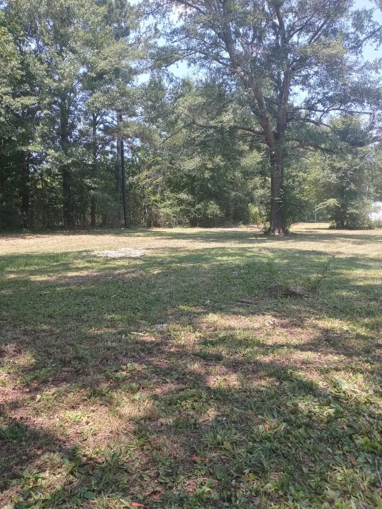 Top-rated yard cleanup service experts serving Sycamore, AL - Old School Lawn Care