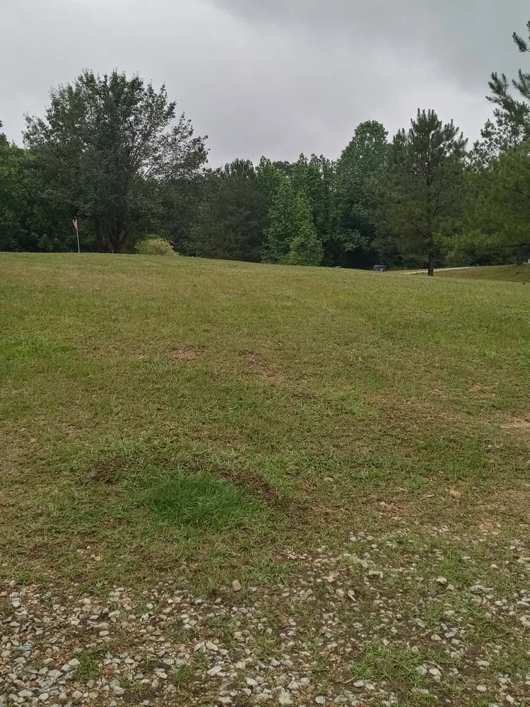 Expert yard cleanup service for residential properties across Sycamore, AL - Old School Lawn Care