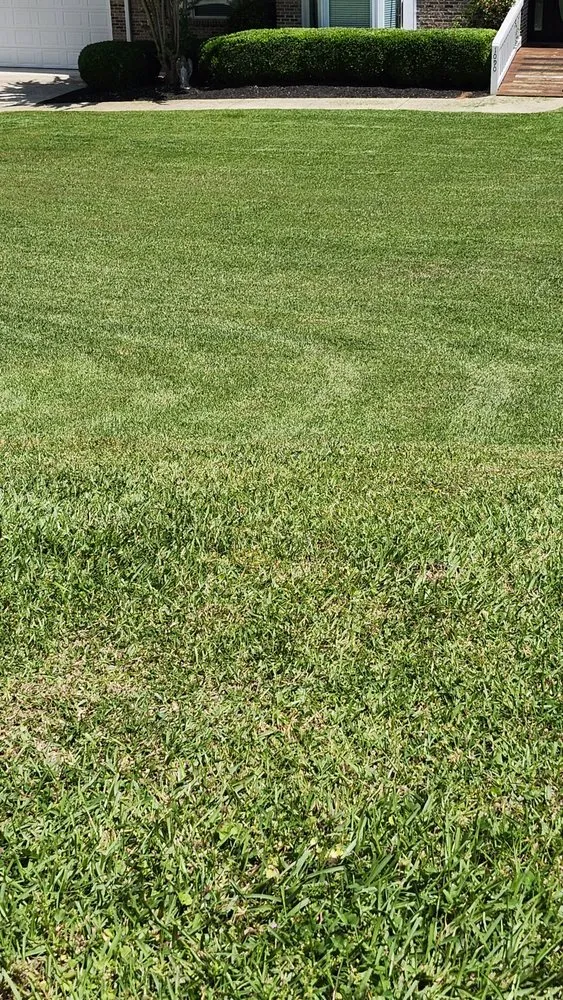 Local yard cleanup service for outdoor upgrades across Sycamore, AL - Old School Lawn Care