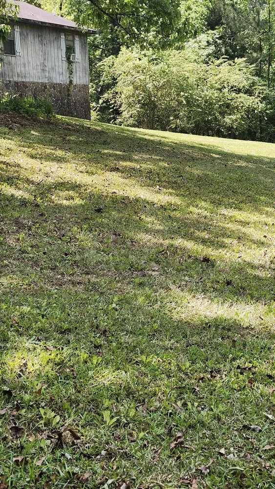 Trusted yard maintenance for outdoor upgrades across Sycamore, AL - Old School Lawn Care