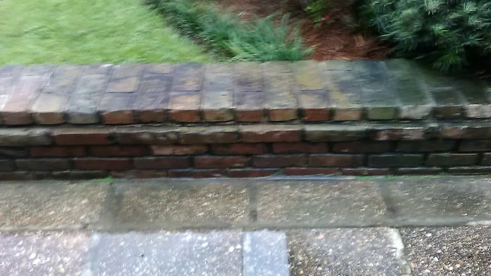 Affordable yard cleanup service in Harvey, LA by Old School Pressure Washing Service