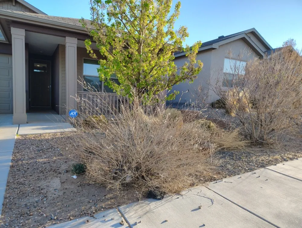 Top-rated yard maintenance in Albuquerque, NM - Old School Yard Services