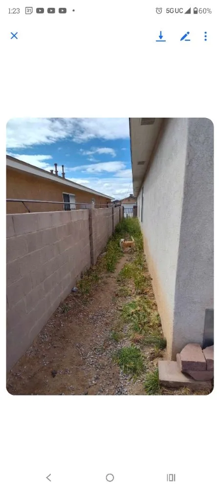 Top-rated lawn care service experts serving Albuquerque, NM - Old School Yard Services