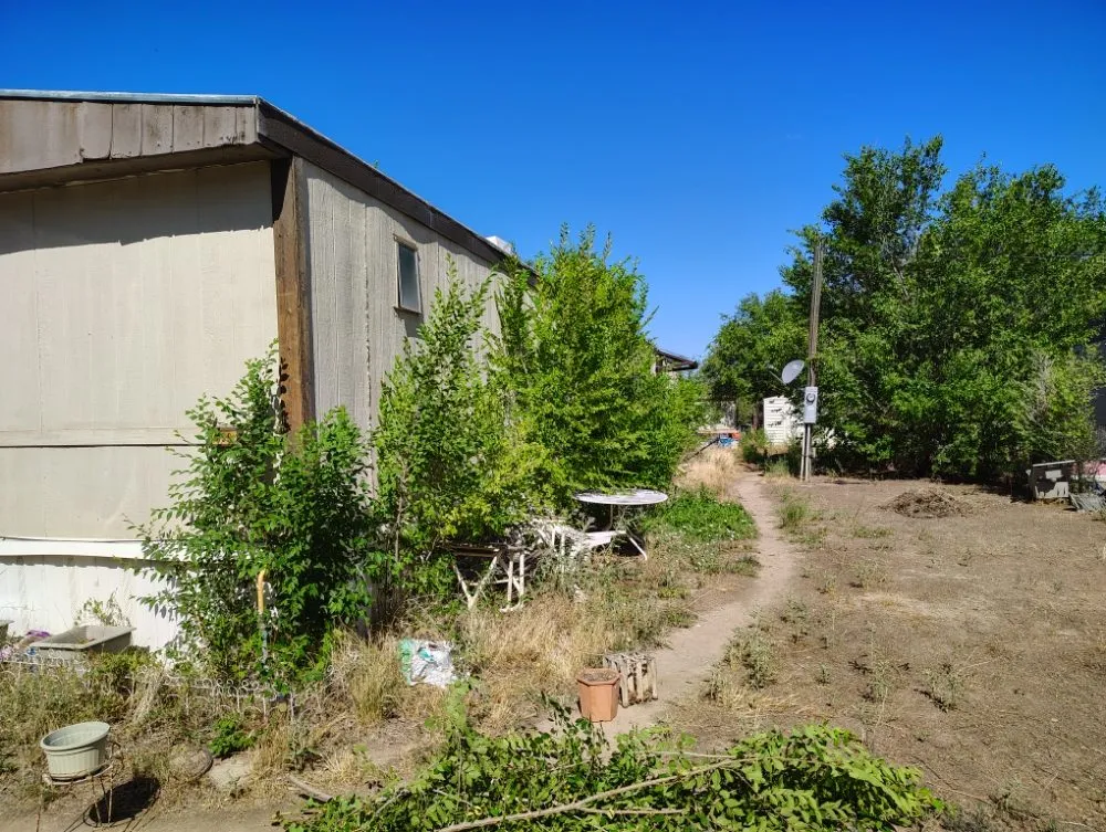 Top-rated landscape installation for beautiful yards in Albuquerque, NM by Old School Yard Services
