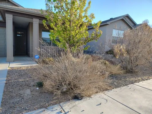 Old School Yard Services Logo