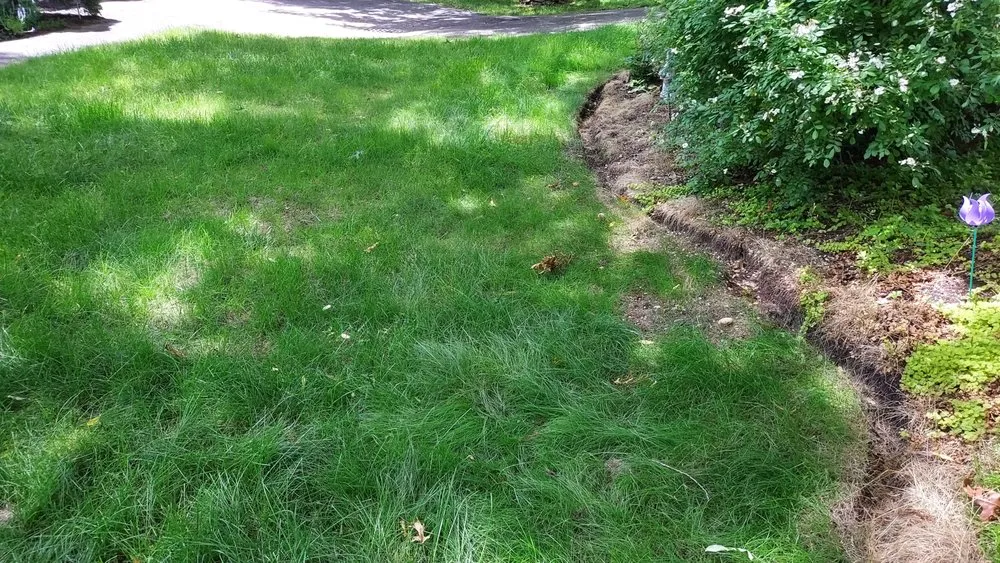 Trusted yard maintenance experts serving Brookhaven, NY - Old Skool Lawn Care