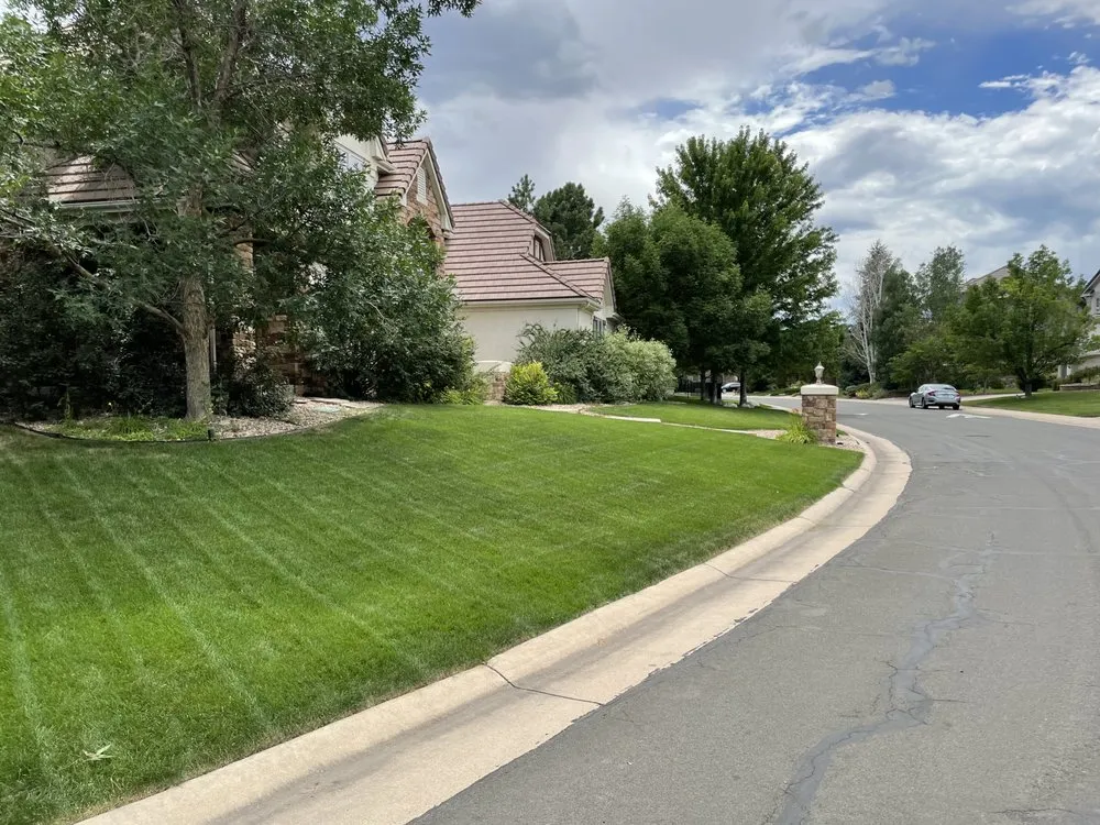 Professional yard cleanup service experts serving Castle Rock, CO - Old Skool Outdoorz