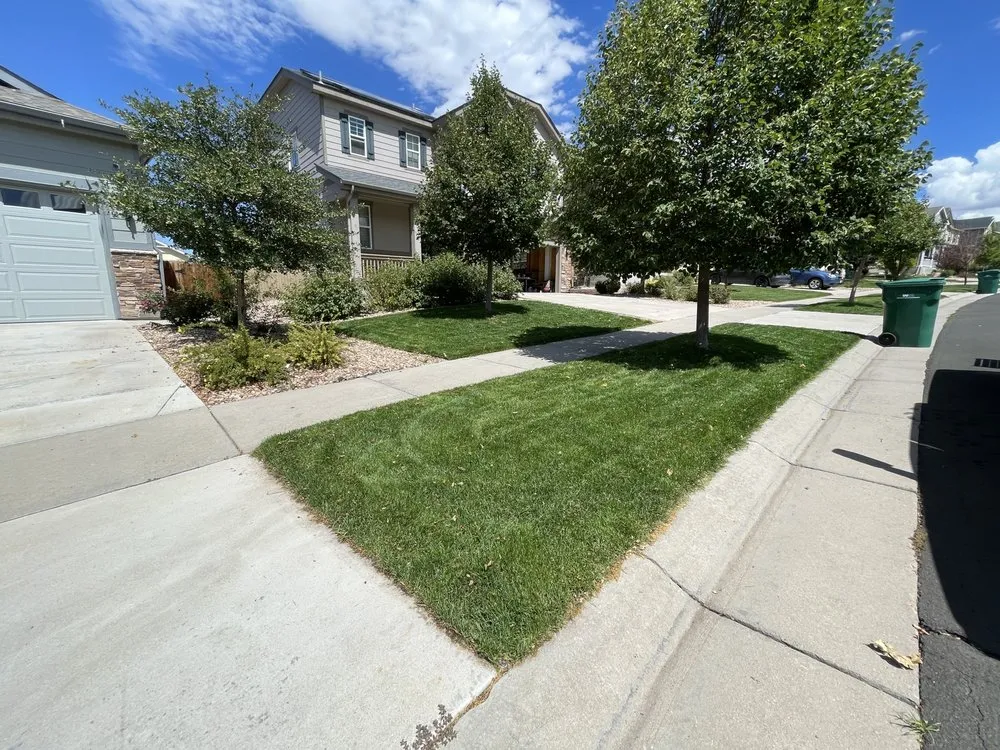 Professional lawn care service for outdoor upgrades in Castle Rock, CO by Old Skool Outdoorz