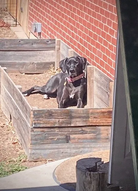 Trusted yard maintenance for residential properties in Castle Rock, CO by Old Skool Outdoorz