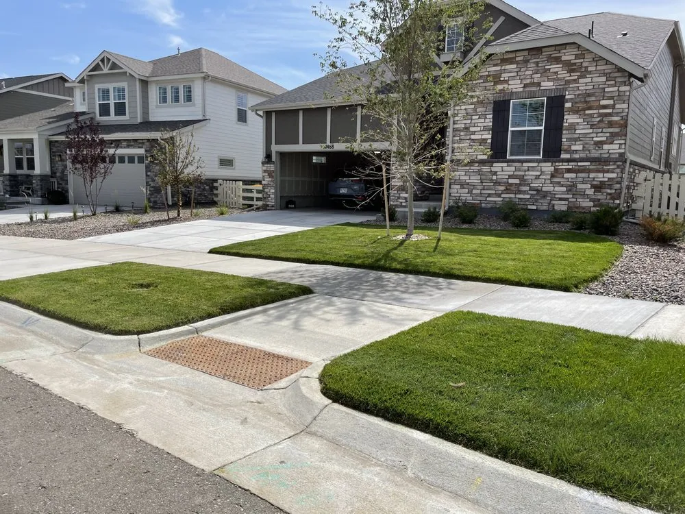 Custom landscape design near you across Castle Rock, CO - Old Skool Outdoorz