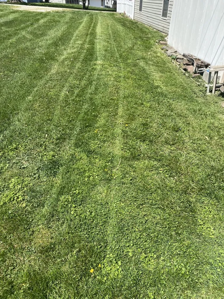 Affordable landscape design in London, KY - Old Soul HM/C