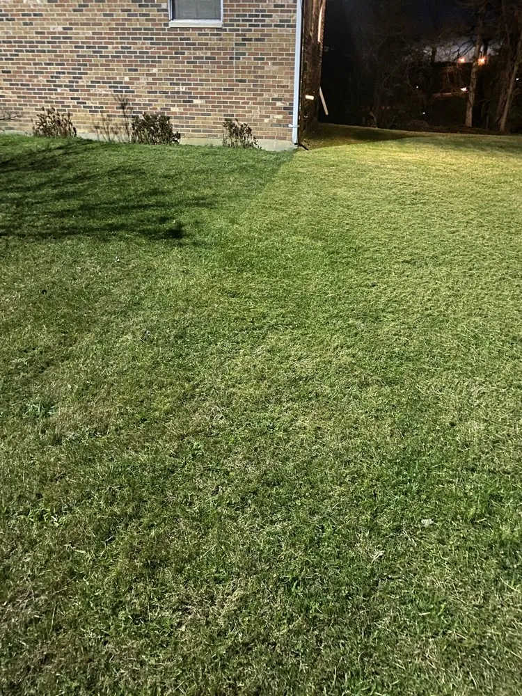 Professional yard cleanup service near you across London, KY - Old Soul HM/C
