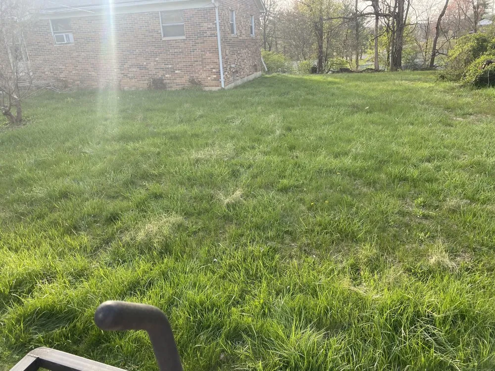 Reliable yard cleanup service in London, KY by Old Soul HM/C