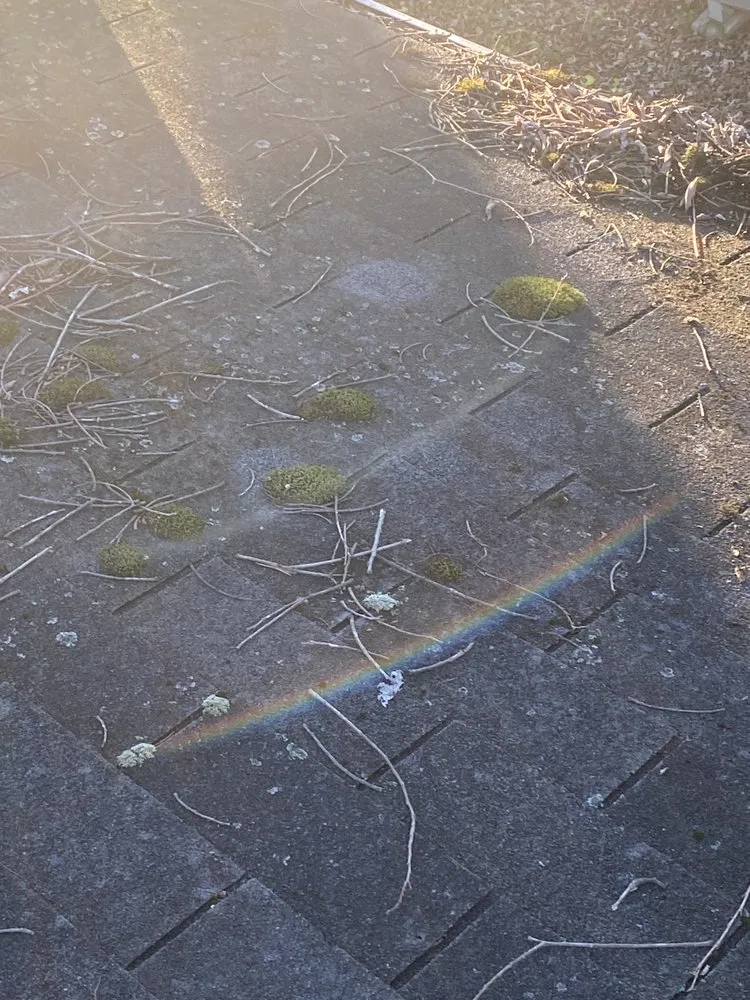 Affordable residential landscaping for homes in London, KY by Old Soul HM/C