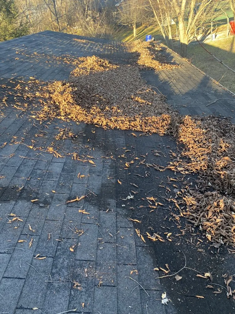 Local yard cleanup service for outdoor upgrades across London, KY - Old Soul HM/C