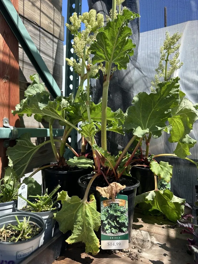 Affordable garden landscaping in Reno, NV - Old Stone House Gift and Garden