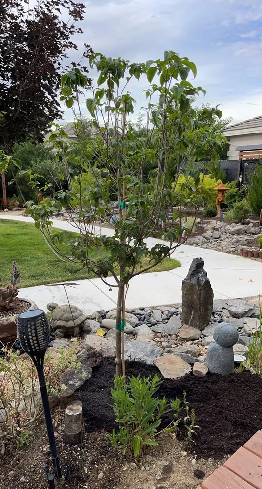 Professional outdoor landscaping experts serving Reno, NV - Old Stone House Gift and Garden