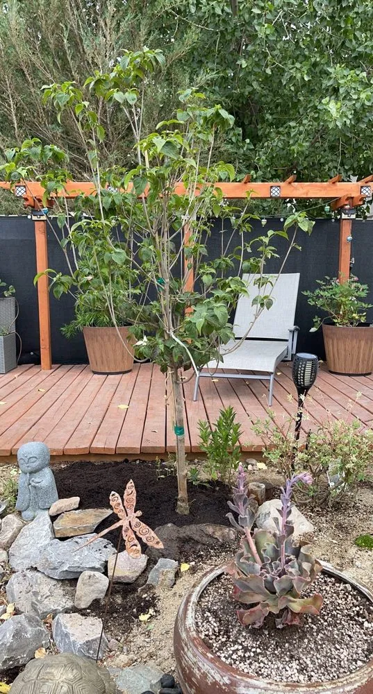 Reliable outdoor landscaping for outdoor upgrades across Reno, NV - Old Stone House Gift and Garden