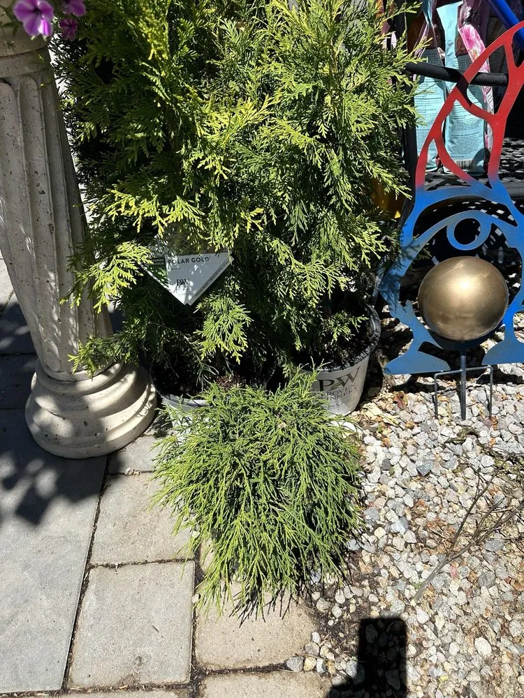 Local yard maintenance in Reno, NV - Old Stone House Gift and Garden