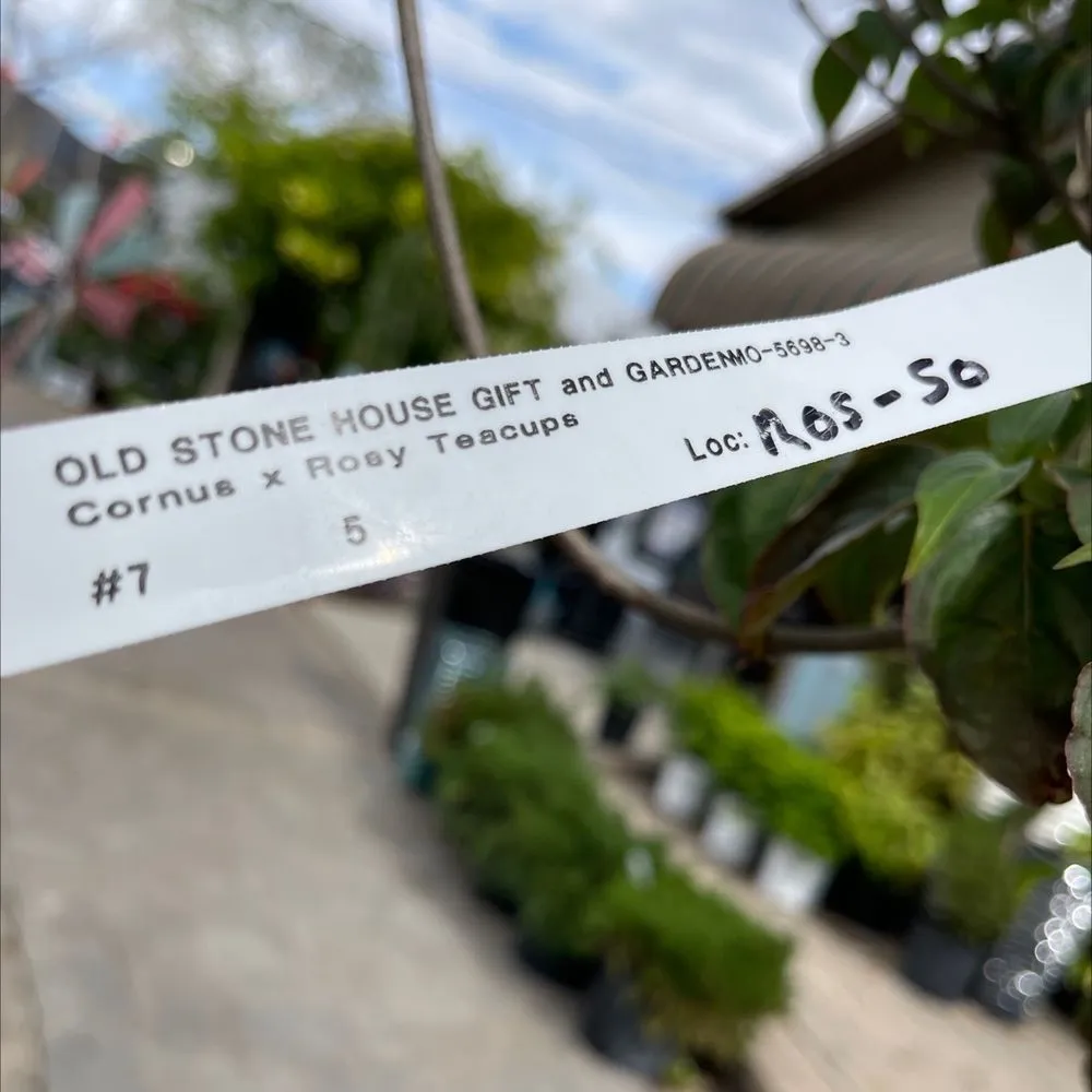 Trusted landscape design with custom design across Reno, NV - Old Stone House Gift and Garden