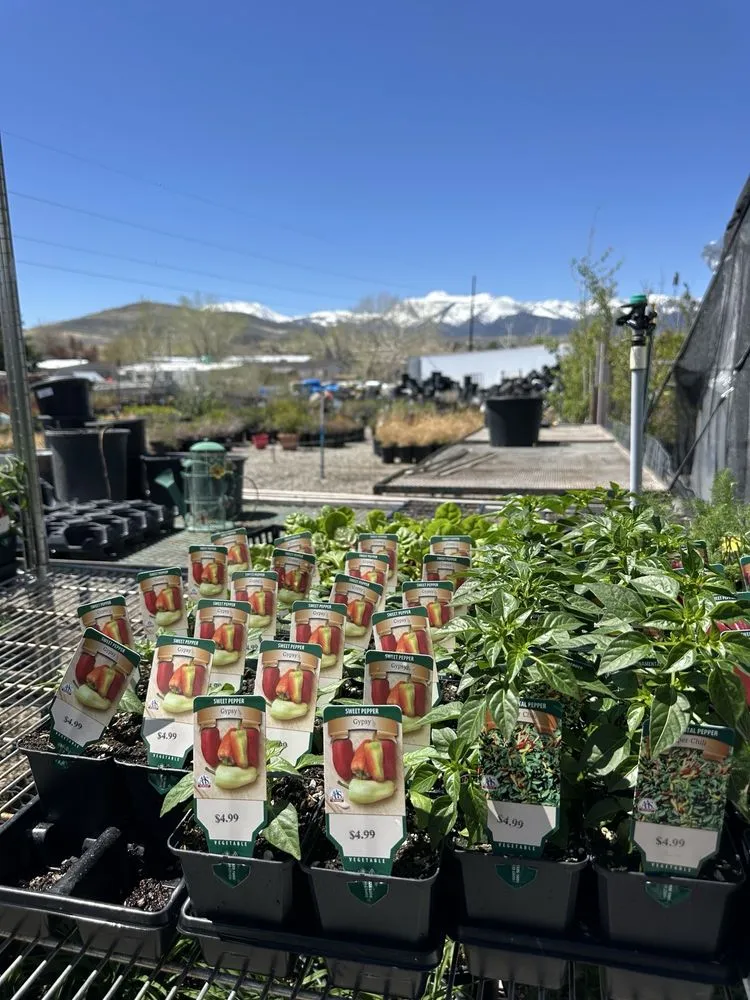 Affordable yard maintenance experts serving Reno, NV - Old Stone House Gift and Garden