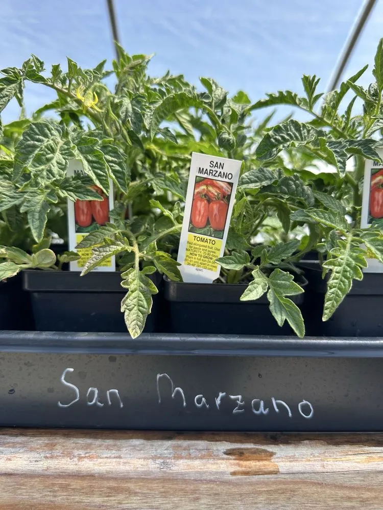 Affordable landscape design near you across Reno, NV - Old Stone House Gift and Garden